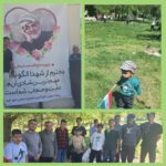 #کمه _درمسیرتحول